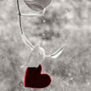 Meet your Posher, Irene